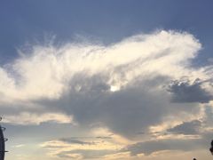 -曲江薰衣草庄园