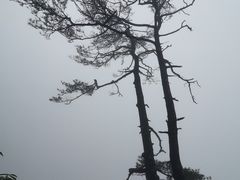 -老界岭旅游度假区