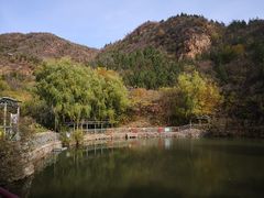 -双新垂钓园