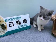 -瑞派宠物医院(锦江店)