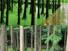 -云龙湖旅游景区