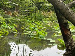 -龙井草堂