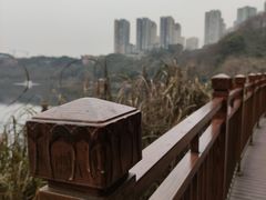 -重庆彩云湖湿地公园