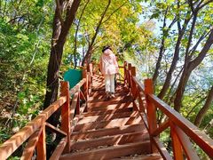 -大岭沟猕猴桃谷风景区