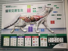 -瑞派·关忠动物医院·猫专科·犬专科(三环新城店)