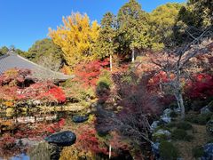 -醍醐寺