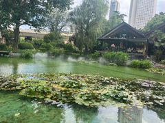 -静安公园(静安寺街道)