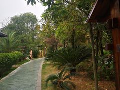 -咸宁万豪温泉谷度假区