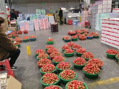 -西郊国际农产品交易中心