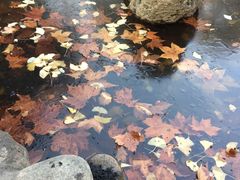 -陕西师范大学(雁塔校区)