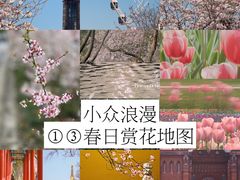 -徐家汇公园