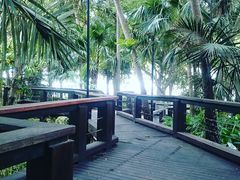 -布里斯班南岸公园