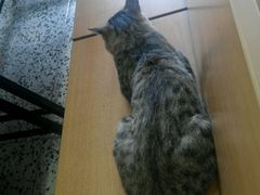 android_upload_pic-黑龙江大学
