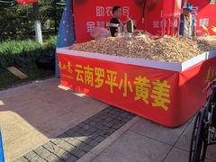 -南翠屏公园