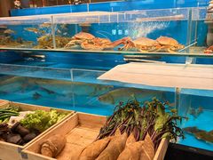 -许家菜(DT51店)
