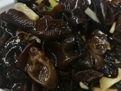 -丁月玉兔王(大渡口店)