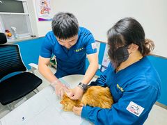 -康爱犬猫诊所·牙专科·骨外科·影像内科(丰宁店)