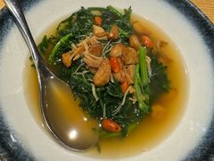 日本茼蒿-同乐轩