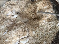 -吉英盐焗鸡(文中路店)