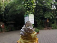 -呀诺达热带雨林