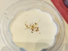 椰汁西米糕-好好彩啫啫煲·广东小馆(上海七宝领展广场店)