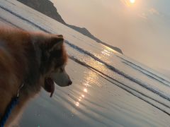 -浪琴湾度假村