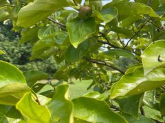 -梁鸿国家湿地公园