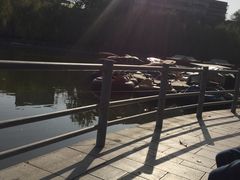 -莲湖公园