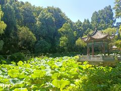 -古隆中景区