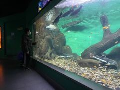 -常州海昌海洋探索馆