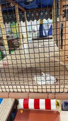 -meland亲子乐园•派对•研学(苏州悠方购物中心店)