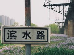 -长白岛森林公园