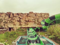 -上海海昌海洋公园
