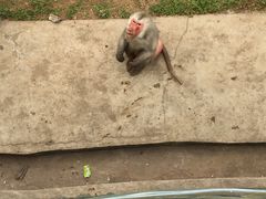 -西安秦岭野生动物园