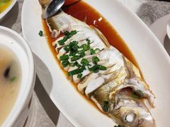 -金美华轩(东方路齐鲁店)