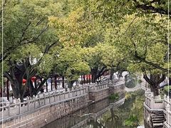 -安亭老街