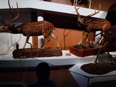 -陕西自然博物馆