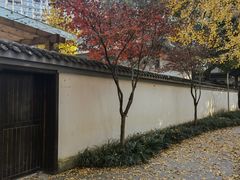 -温江公园