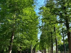 -广富林郊野公园