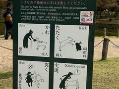 -奈良公园