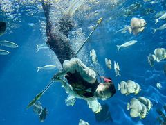 -海合安武汉极地海洋公园