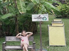 -大象粑粑造纸公园