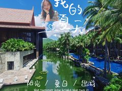 -三亚亚龙湾铂尔曼别墅度假酒店