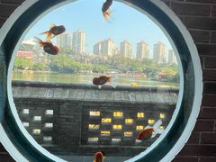 -珠海圆明新园