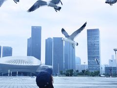 -东港音乐喷泉广场