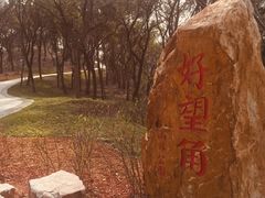 -上海市保健医疗中心(华东疗养院)