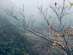 -宁波五龙潭景区