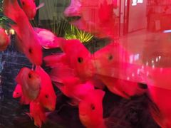 -味界·精致赣菜(招商花园城店)