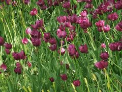 -长春公园(普阳街道)