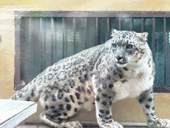 -青藏高原野生动物园